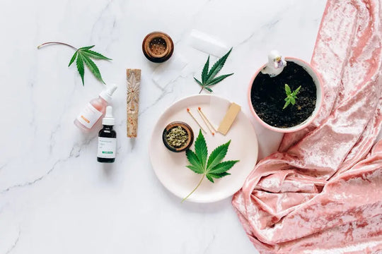 CBD vs. THC: Key Differences, Wellness Benefits, and What to Know