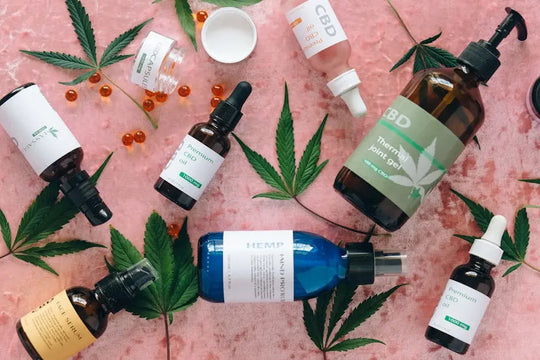 Understanding CBD vs THC: What You Need to Know