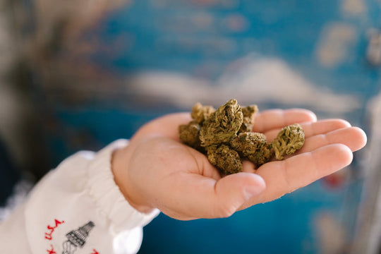 CBD vs Adaptogens: What’s the Difference & How They Work Together
